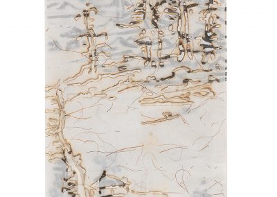 WANG Tiande 王天德