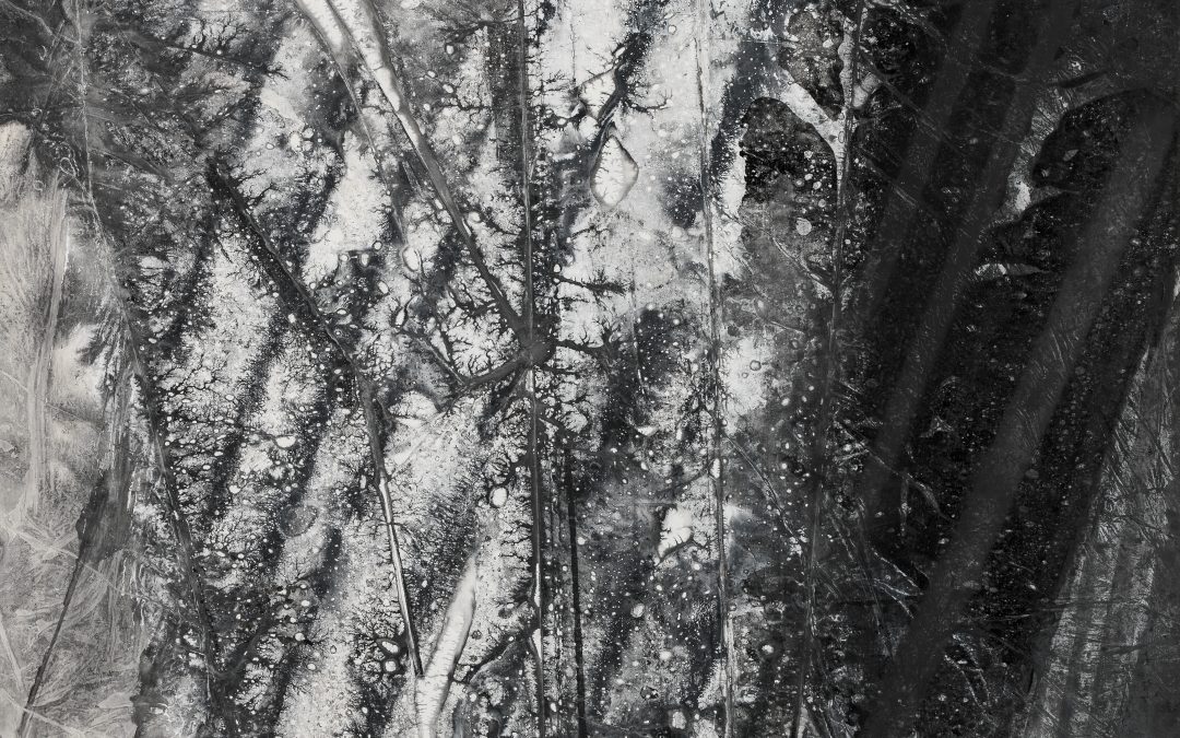 ZHENG Chongbin 郑重宾