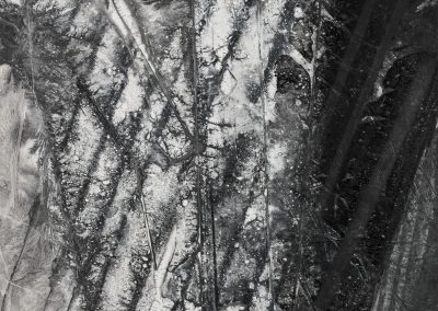 ZHENG Chongbin 郑重宾