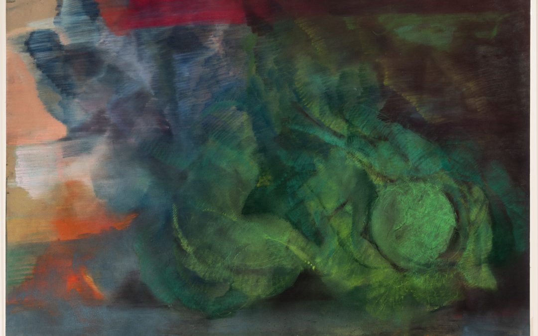 PORTFOLIO OF DIVERSITY