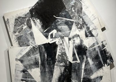 ZHENG Chongbin 郑重宾 2