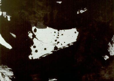 WANG Dongling 王冬齡 3